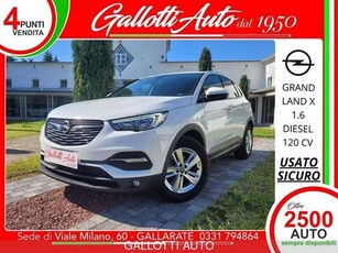 OPEL GRANDLAND X Grandland X 1.6 diesel Ecotec Start&Stop Business