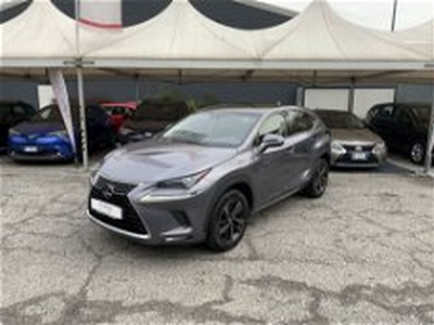 Lexus NX Hybrid 4WD Sport del 2018 usata a Como