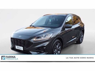 Ford Kuga MHEV ST-LINE X 150CV da F1 .