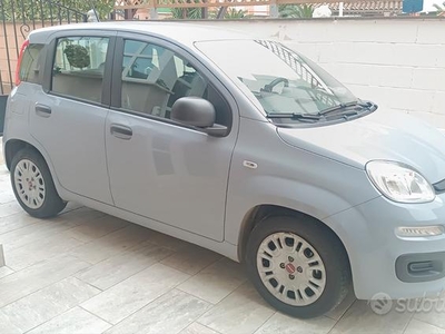 Fiat Panda 1.0 hybrid Easy s&s 70cv - 2021