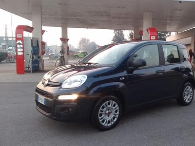 FIAT panda 1.2 BZ 47mila km 2020 neopatentati