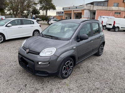 FIAT Panda 3ª serie - 2022