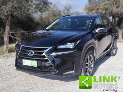 LEXUS NX 300 Hybrid 4WD Executive, finanziabile Usata