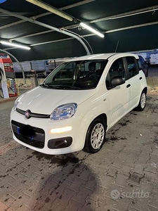 Panda 2018 1.3 diesel 95cv