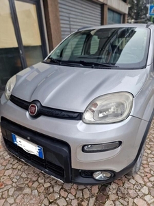 Usato 2013 Fiat Panda 4x4 1.2 Diesel 75 CV (11.000 €)