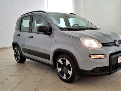 Fiat Panda 1.0 FireFly S&S Hybrid City Cross del 2021 usata a Torino