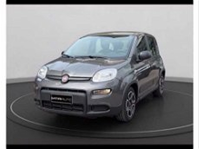 Fiat Panda 1.0 FireFly S&S Hybrid City Cross my 20 del 2022 usata a Gualdo Tadino