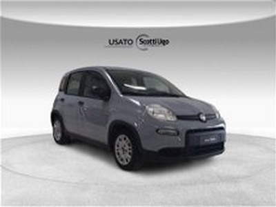 Fiat Panda 1.0 firefly hybrid s&s 70cv 5p.ti del 2023 usata a Tavarnelle Val di Pesa