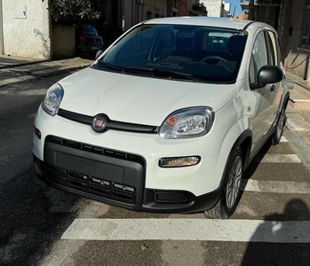 FIAT Panda 1.0 FireFly S&S Hybrid Elettrica/Benzina