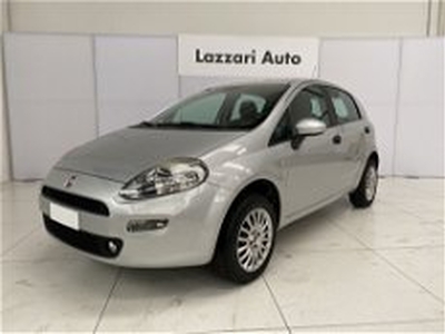 Fiat Punto 1.4 8V 5 porte Natural Power Lounge del 2015 usata a Cornegliano Laudense