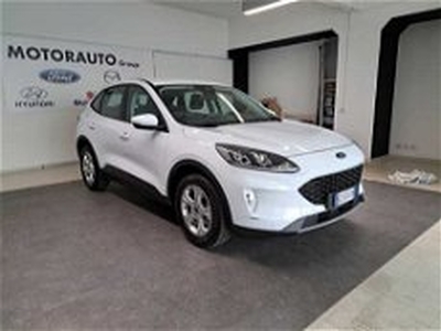 Ford Kuga 1.5 EcoBlue 120 CV 2WD Titanium del 2021 usata a Arezzo