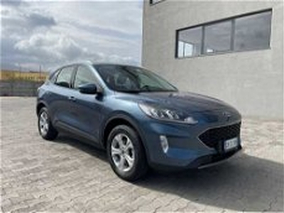 Ford Kuga 1.5 EcoBoost 120 CV 2WD Titanium del 2020 usata a Corigliano Calabro