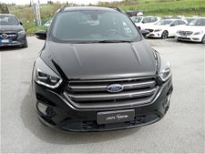 Ford Kuga 2.0 TDCI 120 CV S&S 2WD ST-Line del 2020 usata a Sinalunga