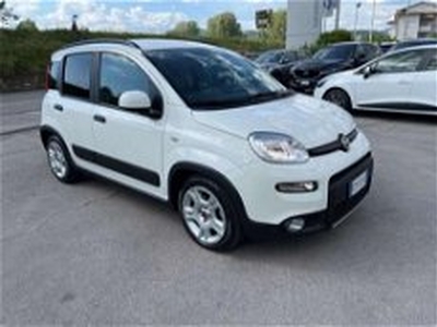 Fiat Panda 1.0 FireFly S&S Hybrid City Life del 2023 usata a Barga