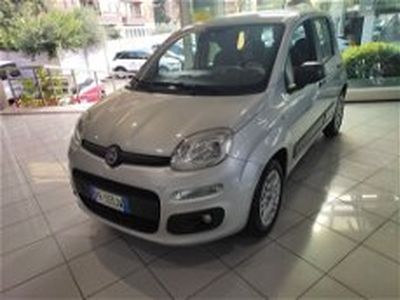 Fiat Panda 1.3 MJT 95 CV S&S Easy del 2016 usata a Prato