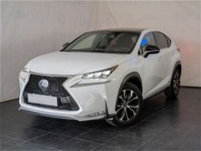 Lexus NX Hybrid 4WD F-Sport del 2016 usata a San Severo