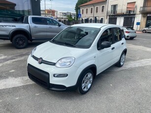 Fiat Panda 1.0