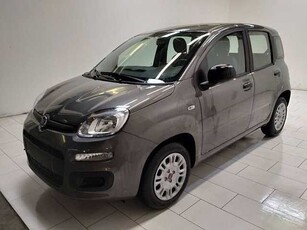 Fiat Panda 1.2 easypower Gpl s e s 69cv da Azzurra .