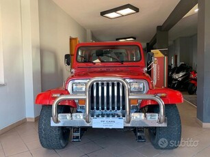 Usato 1993 Jeep Wrangler 2.5 Benzin (16.900 €)