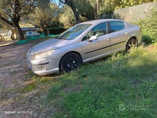 Usato 2005 Peugeot 407 2.0 Diesel 136 CV (500 €)