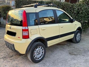 Usato 2007 Fiat Panda 4x4 1.2 Benzin 60 CV (4.000 €)