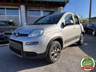 Usato 2013 Fiat Panda 4x4 1.2 Diesel 75 CV (11.600 €)