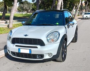 Usato 2013 Mini Countryman Diesel (12.500 €)