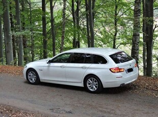 Usato 2016 BMW 520 2.0 Diesel 190 CV (18.500 €)