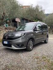 Usato 2018 Fiat Doblò 1.6 Diesel 120 CV (17.000 €)