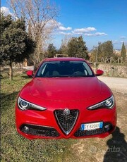 Usato 2019 Alfa Romeo Stelvio 2.1 Diesel 190 CV (28.000 €)