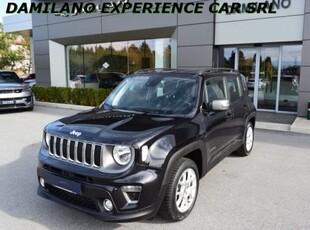 Usato 2019 Jeep Renegade 1.6 Diesel 120 CV (16.800 €)