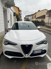 Usato 2020 Alfa Romeo Stelvio 2.1 Diesel 160 CV (32.000 €)