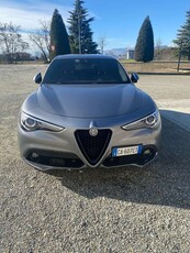 Usato 2020 Alfa Romeo Stelvio 2.1 Diesel 209 CV (31.900 €)