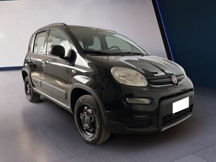 Usato 2020 Fiat Panda 4x4 0.9 Benzin 86 CV (13.500 €)