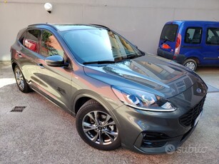 Usato 2021 Ford Kuga 2.5 Benzin 190 CV (25.000 €)