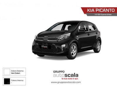 Kia Picanto 1.0 12V 5p. Urban Special Edition nuovo