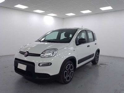 Fiat Panda 1.0 firefly hybrid city life s&s 70cv 5p.ti da Azzurra .