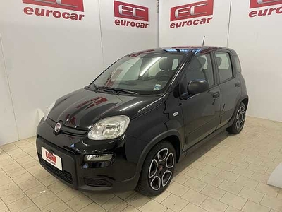 Fiat Panda 3ª serie 1.0 FireFly S&S Hybrid City Life da Eurocar Srl