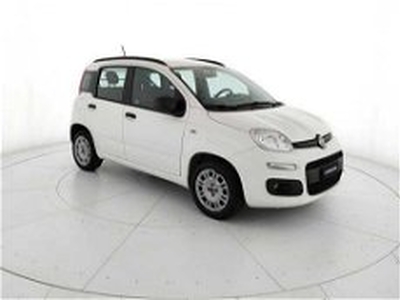 Fiat Panda 1.2 Easy del 2021 usata a Teverola