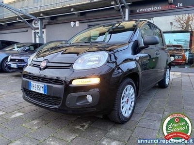 Fiat Panda Panda 1.2 Easy 69cv E6 Castelletto Sopra Ticino