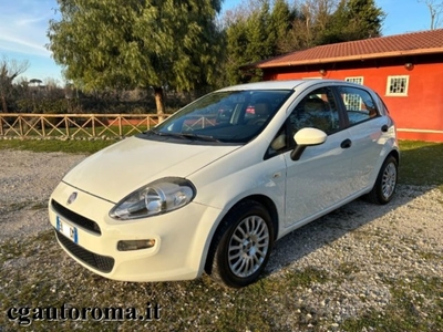 Fiat Punto 1.3 MJT II S&S 85 CV 5 porte ECO Easy usato