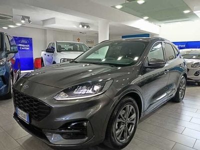 Ford Kuga 1.5 EcoBlue 120 CV 2WD ST-Line usato