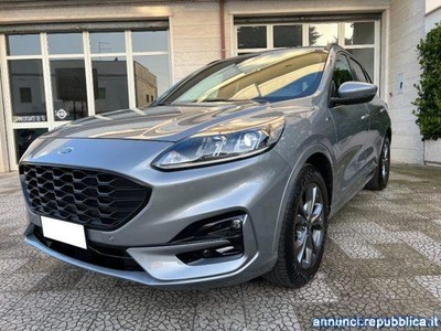 Ford Kuga 1.5 EcoBlue 120 CV aut. 2WD ST-Line Alberobello