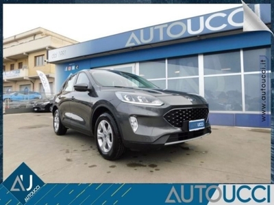 Ford Kuga 1.5 EcoBoost 120 CV 2WD usato