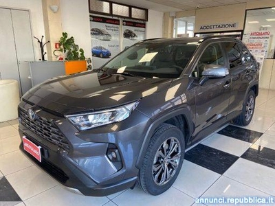 Toyota RAV 4 RAV4 2.5 HV (218CV) E-CVT 2WD Active Vignate