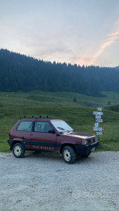 Usato 1989 Fiat Panda 4x4 1.0 Benzin 50 CV (9.500 €)