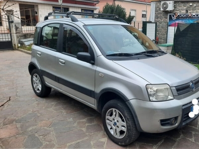Usato 2006 Fiat Panda 4x4 1.2 Diesel 69 CV (7.000 €)