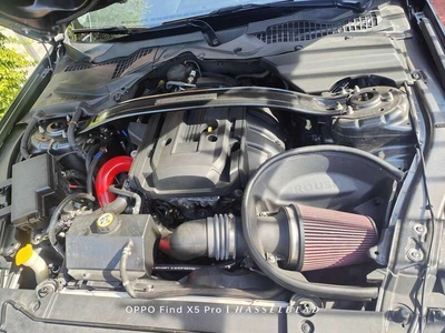 Usato 2015 Ford Mustang 2.3 Benzin 317 CV (36.000 €)