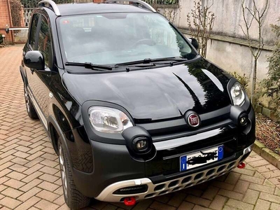 Usato 2020 Fiat Panda 4x4 0.9 Benzin 86 CV (18.000 €)