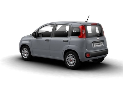 Venduto Fiat Panda Panda New My23 1.0. - auto usate in vendita